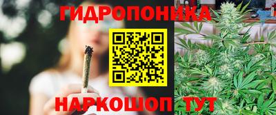 apvp Дубна