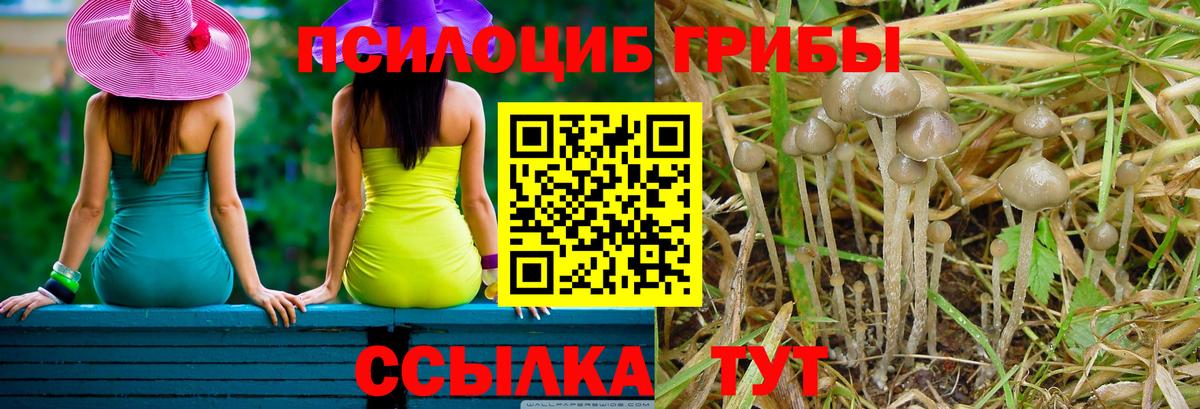 Галлюциногенные грибы мицелий Лысьва