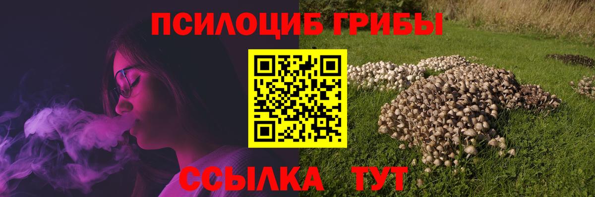Лысьва  Псилоцибиновые грибы GOLDEN TEACHER  Псилоцибиновые грибы мицелий  Вход с VPN 